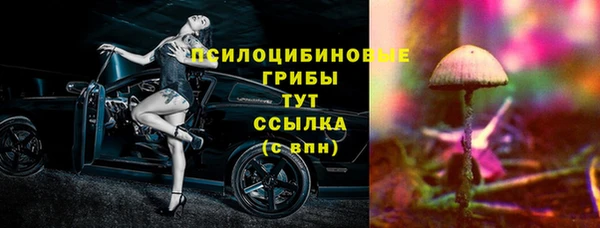 амфетамин Белокуриха